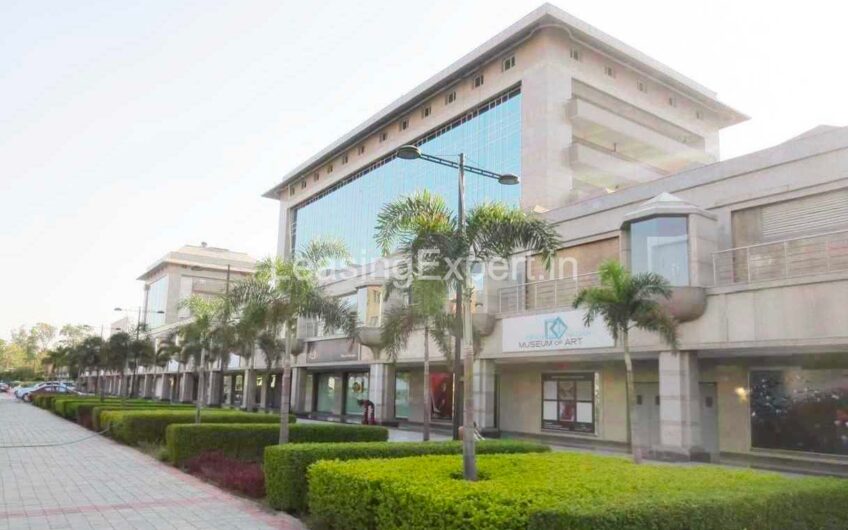 Prime Pre- Rented Property for Sale in Saket District Centre New Delhi | Pre- Leased Assured Return Commercial Space in Delhi