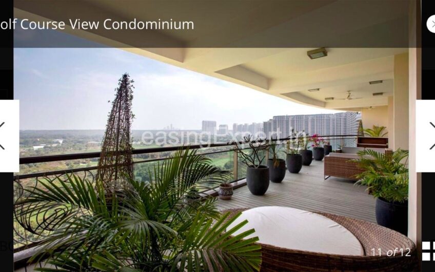 Fully Furnished Apartment For Rent in DLF The Magnolias, DLF Phase-5, Golf Course Road, Sector-42, Gurgaon
