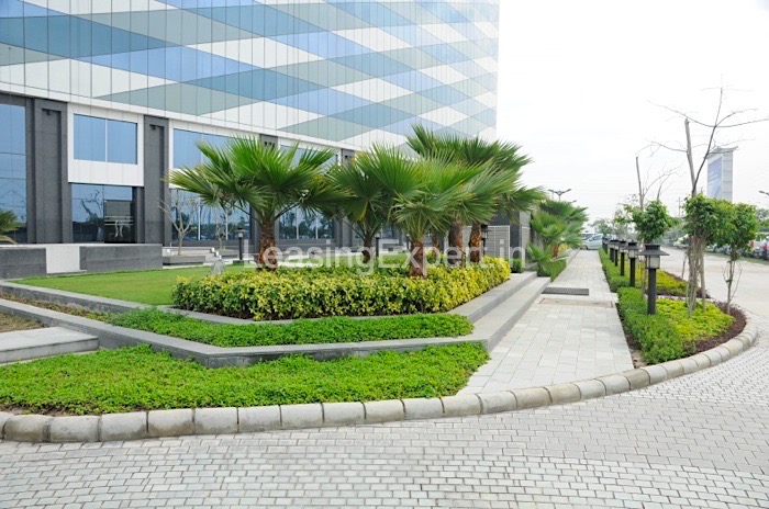 Commercial Property For Rent/ Lease in Advant Navis Business Park, Sector-142, Noida | Office Space in Advant Towers Noida